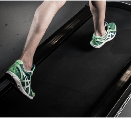 Беговая дорожка BH FITNESS PIONEER R5 