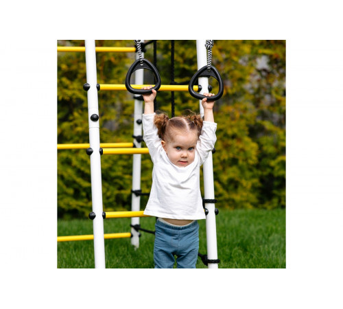 Детский спортивный комплекс для дачи ROMANA Богатырь MAX Плюс-2